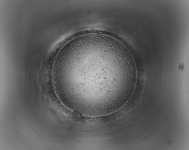 X0000111941159200907271406