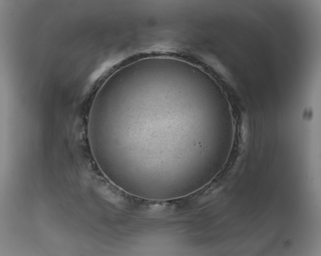 X0000111941160200907271406