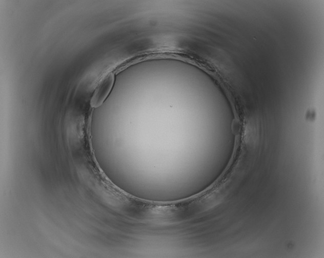 X0000111941161200907271406