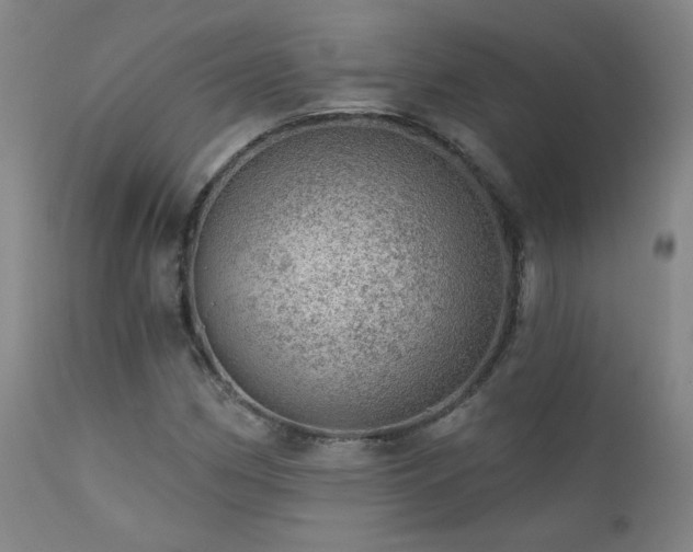 X0000111941162200907271406