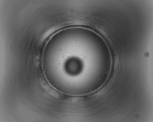 X0000111941163200907271406