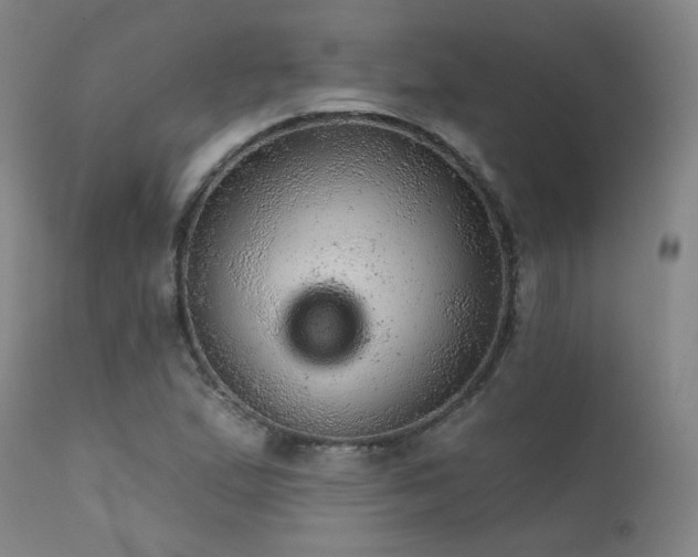 X0000111941167200907271406