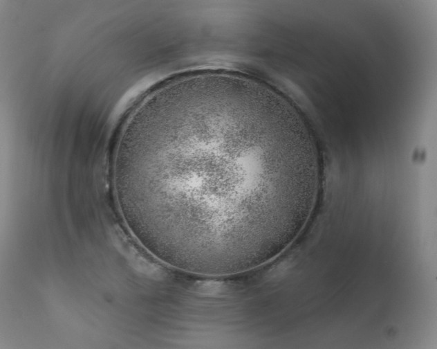 X0000111941172200907271406