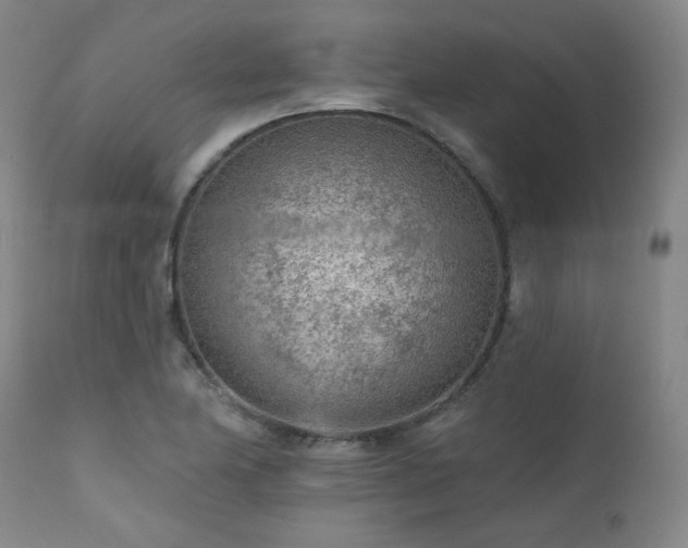 X0000111941174200907271406