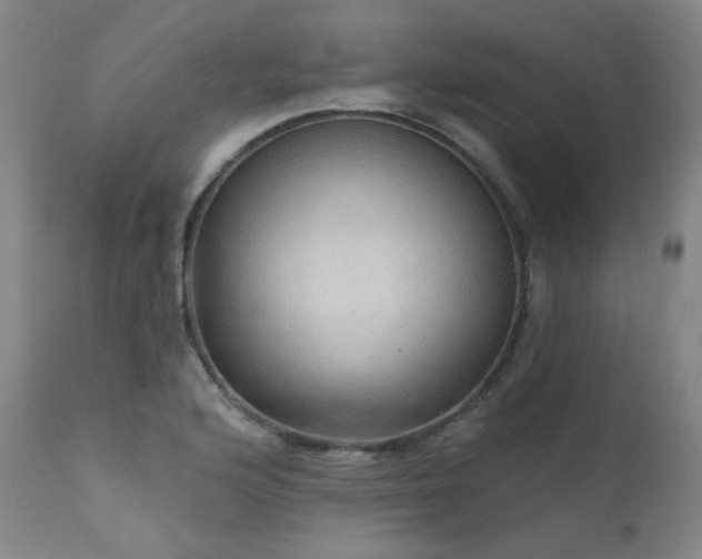 X0000111941176200907271406