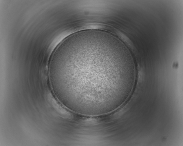 X0000111941178200907271406