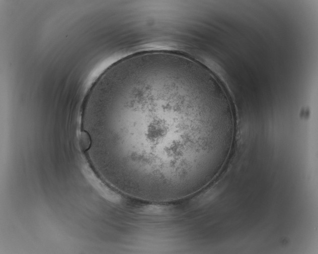 X0000111941179200907271406