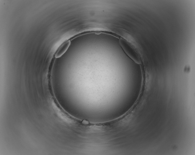 X0000111941181200907271406