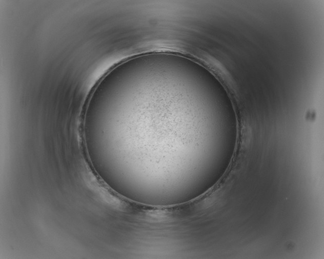 X0000111941182200907271406