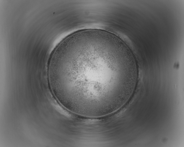 X0000111941184200907271406