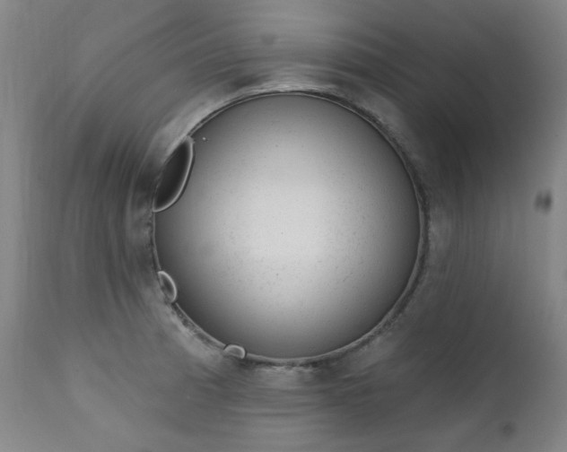 X0000111941185200907271406