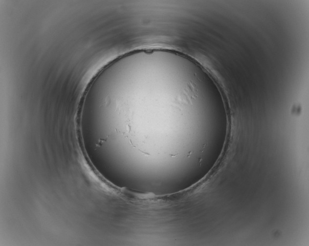 X0000111941189200907271406