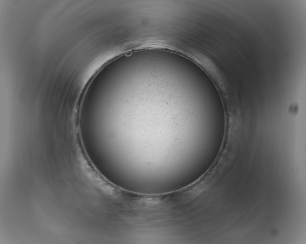 X0000111941190200907271406