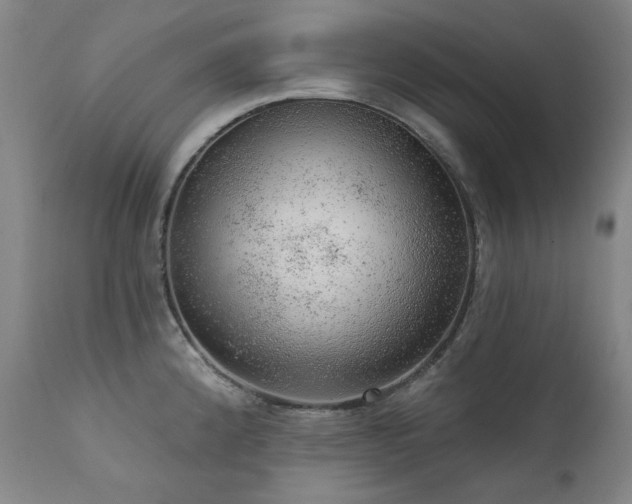 X0000111941192200907271406