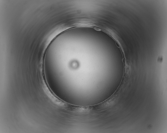 X0000111941195200907271406