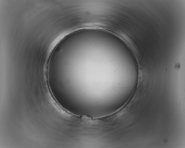 X0000111941196200907271406