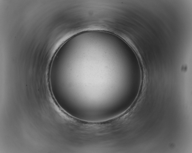 X0000111941197200907271406