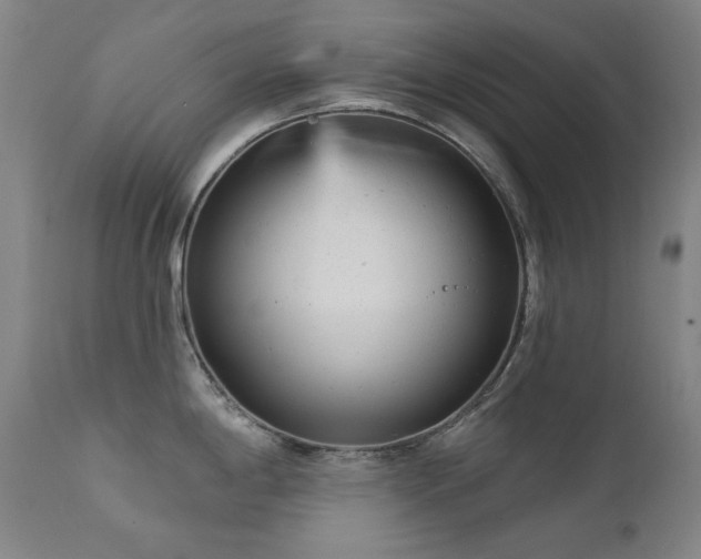 X0000111941198200907271406