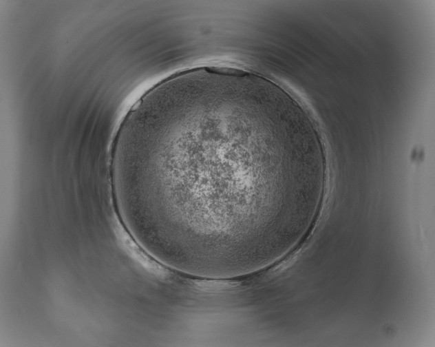 X0000111941200200907271406