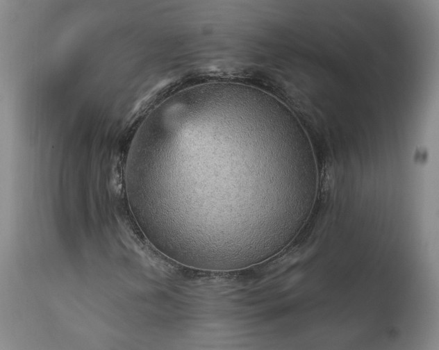 X0000111941202200907271405