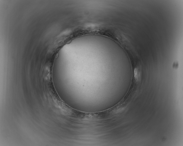 X0000111941203200907271405