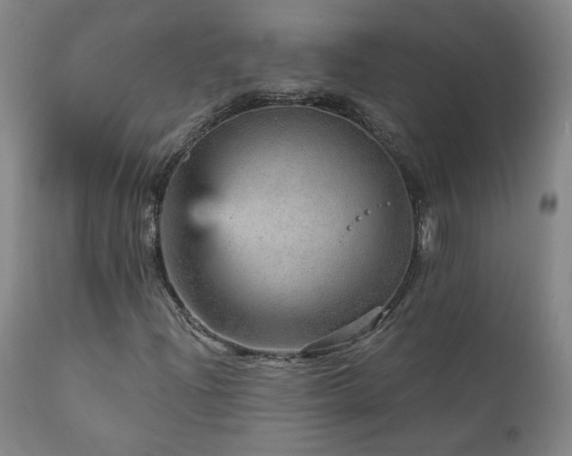X0000111941204200907271405