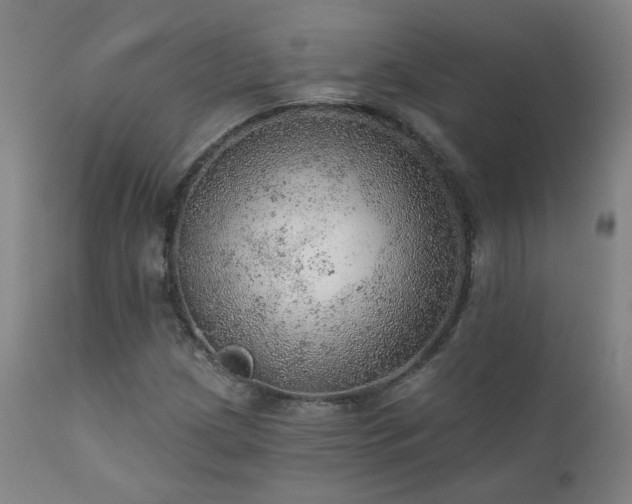 X0000111941209200907271405