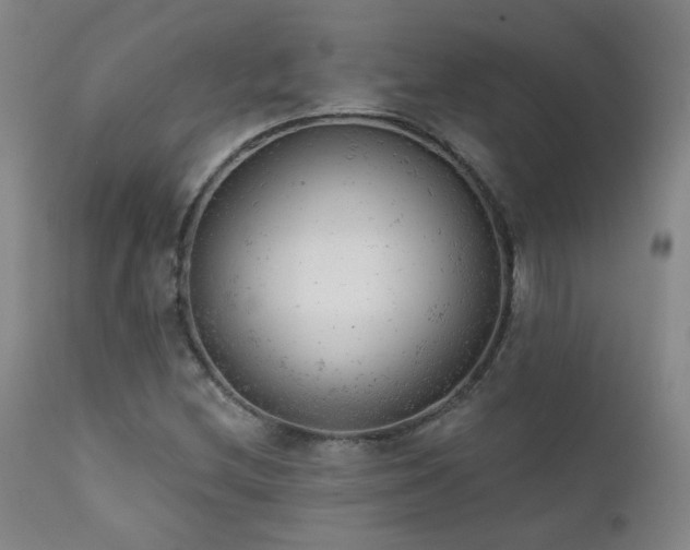 X0000111941212200907271405