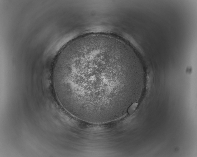 X0000111941213200907271405