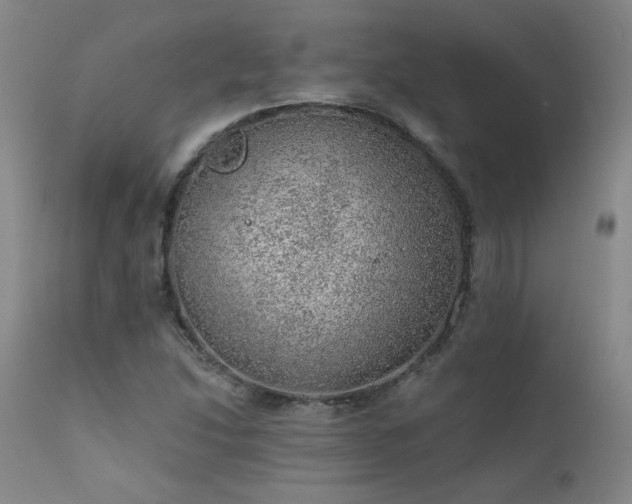 X0000111941214200907271405