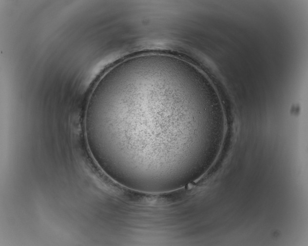 X0000111941218200907271405