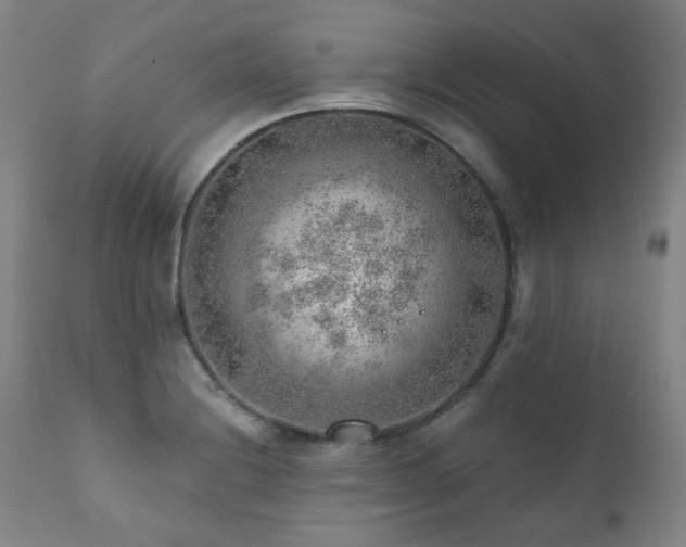 X0000111941228200907271405