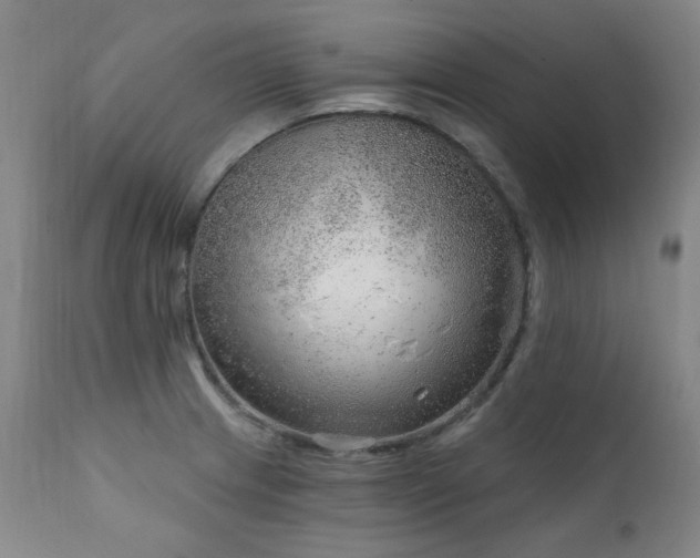 X0000111941233200907271405