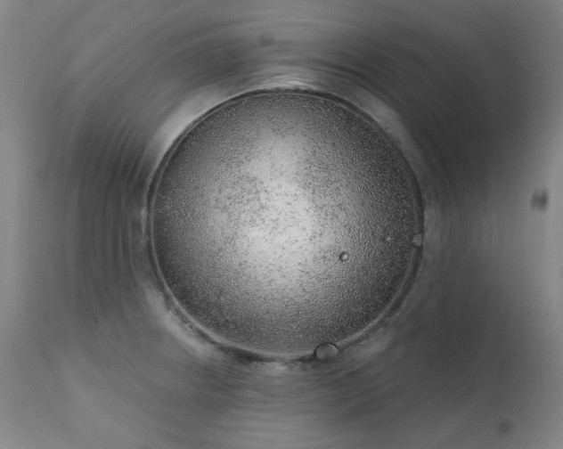 X0000111941234200907271405