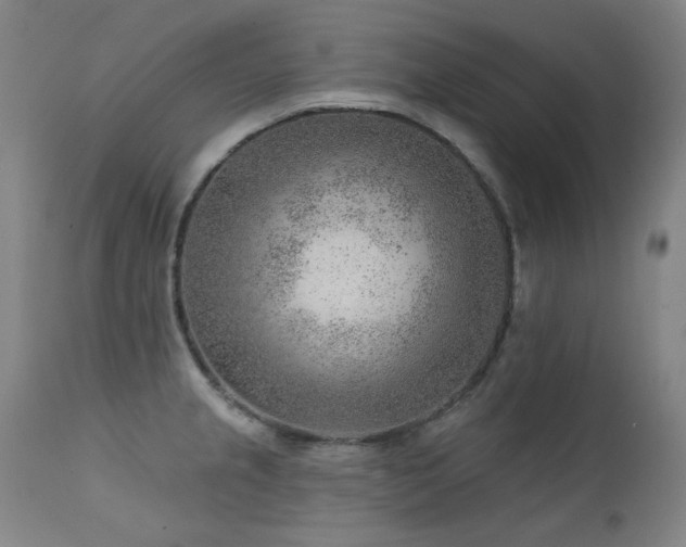 X0000111941237200907271405