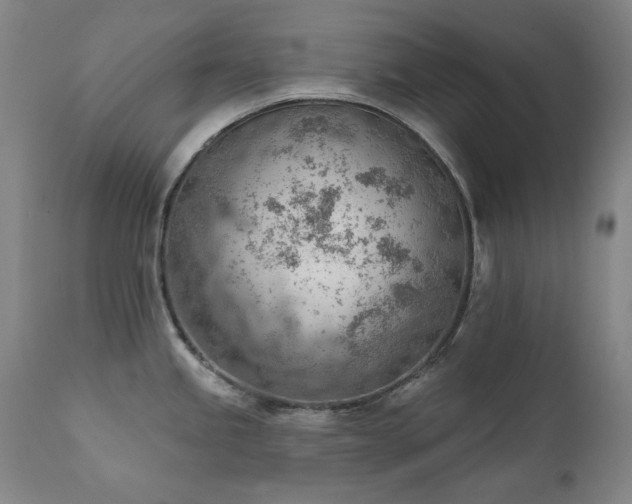 X0000111941245200907271405