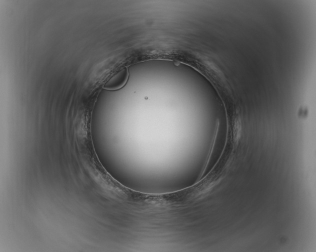 X0000111941250200907271405