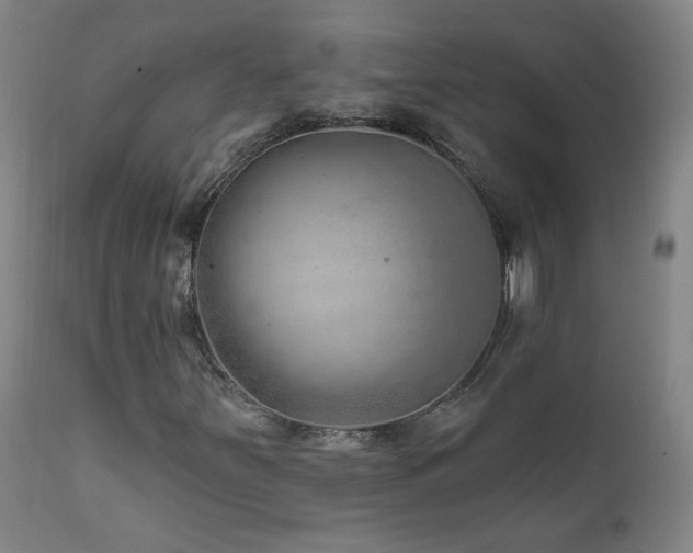 X0000111941251200907271405
