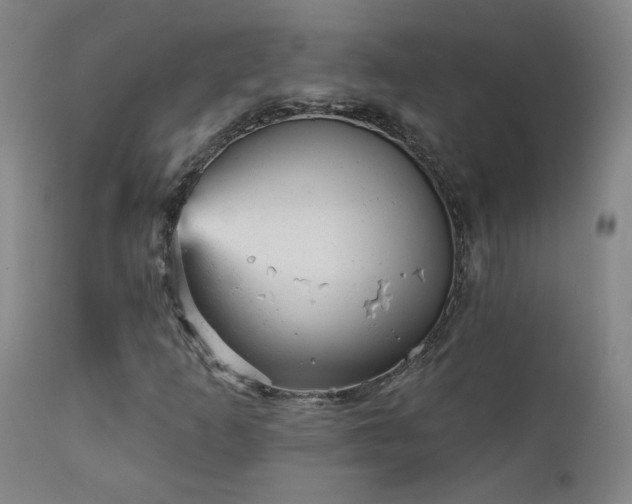 X0000111941253200907271405