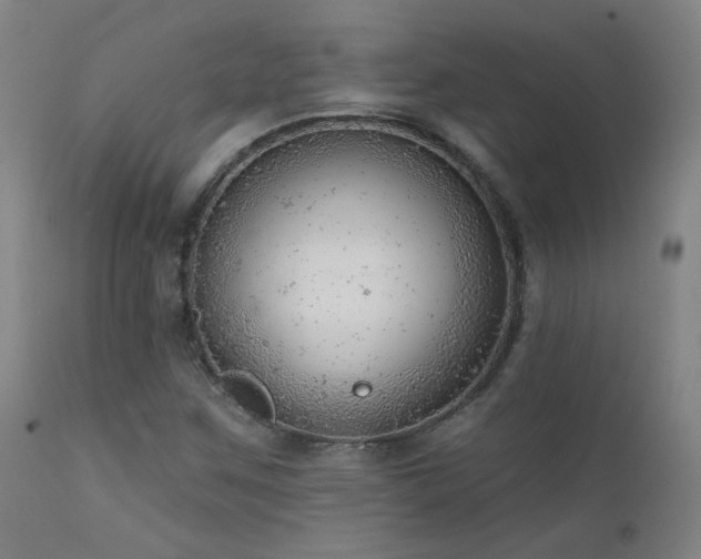 X0000111941259200907271405