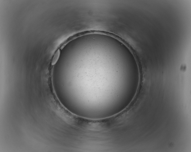 X0000111941264200907271405