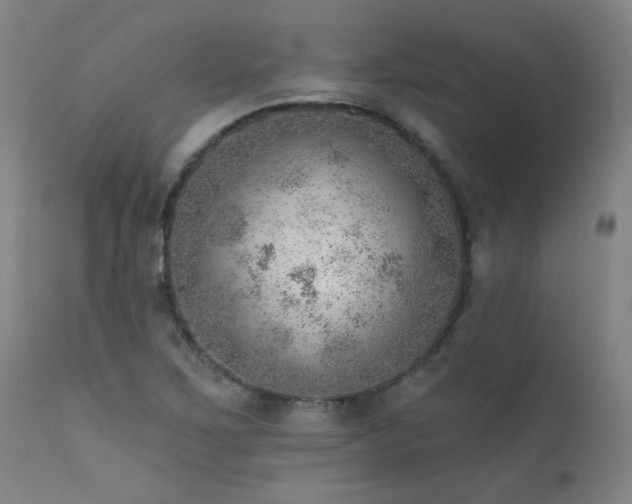 X0000111941267200907271404