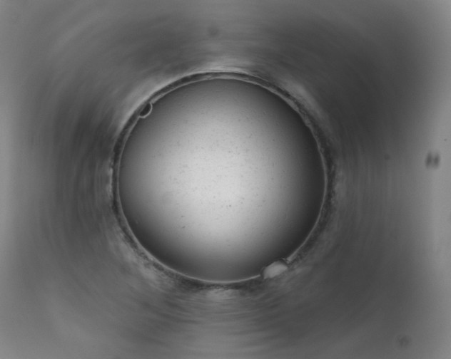X0000111941268200907271404