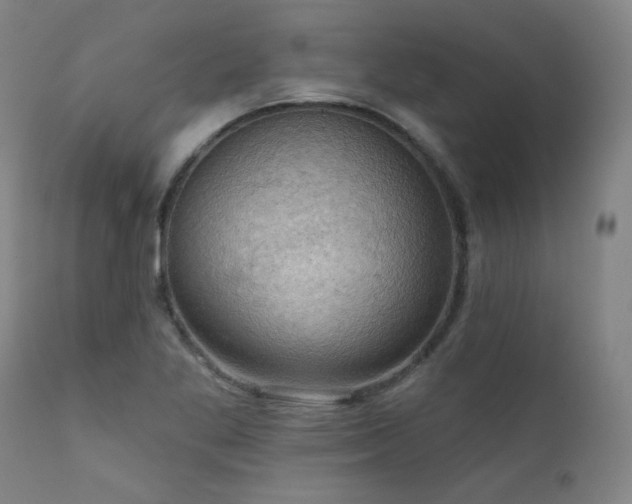 X0000111941269200907271404