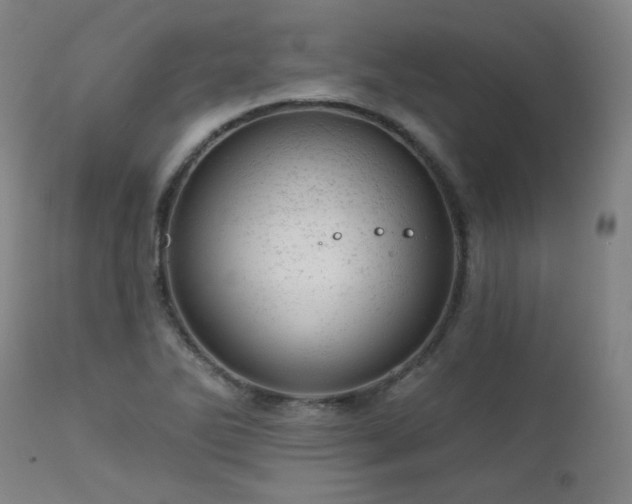 X0000111941270200907271404