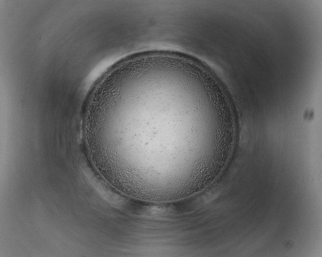 X0000111941271200907271404