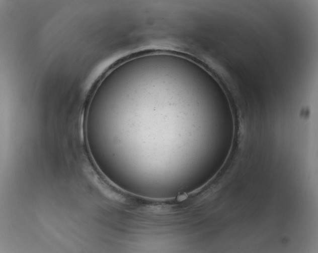 X0000111941272200907271404