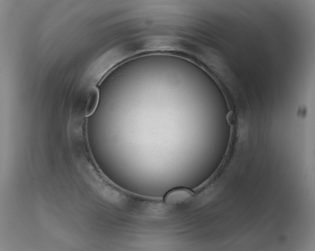 X0000111941273200907271404