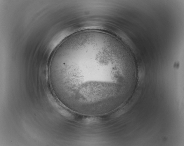 X0000111941274200907271404