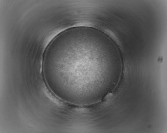 X0000111941276200907271404